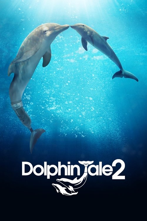 海豚的故事2 海报