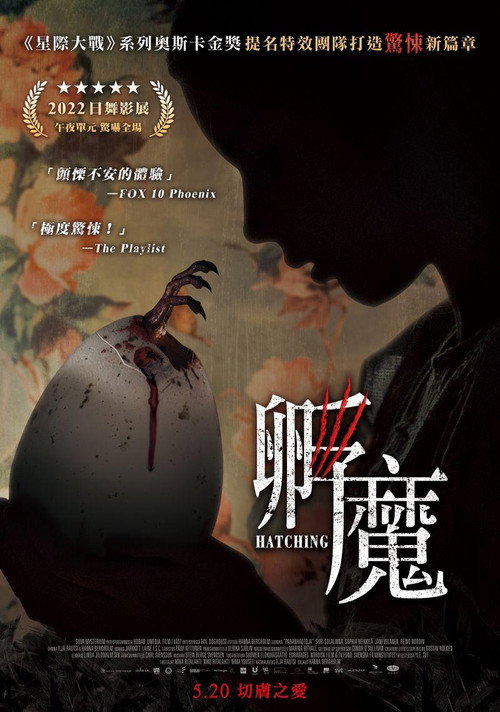 孵化 海报