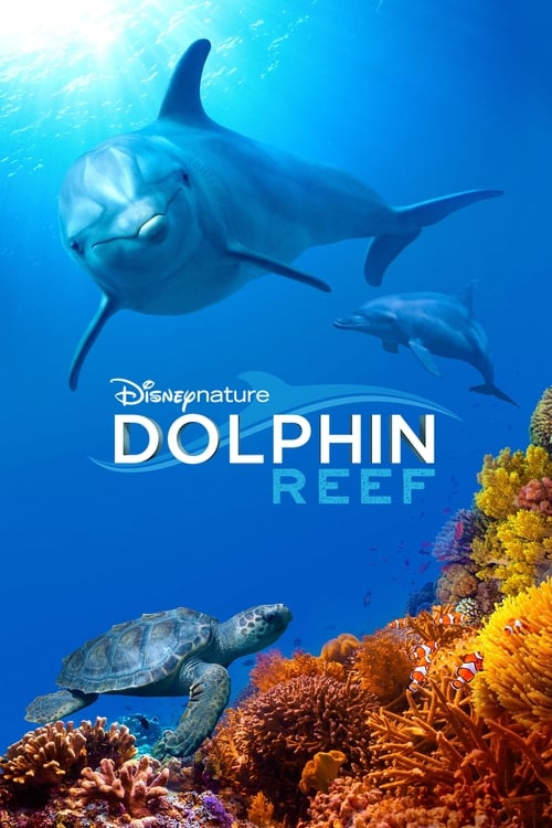 海豚礁 海报