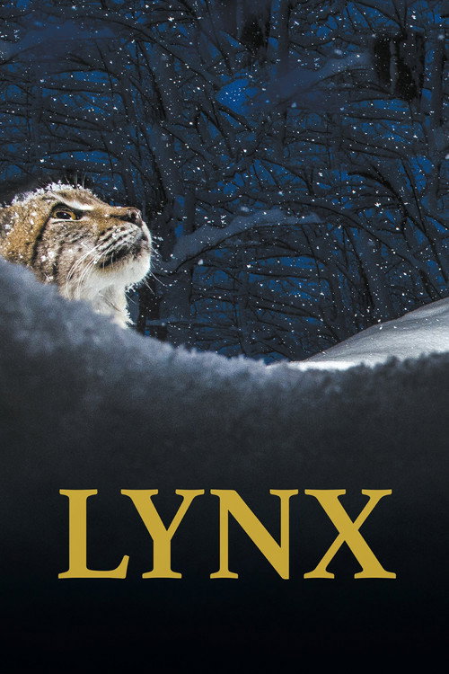 回归自然的猞猁 海报