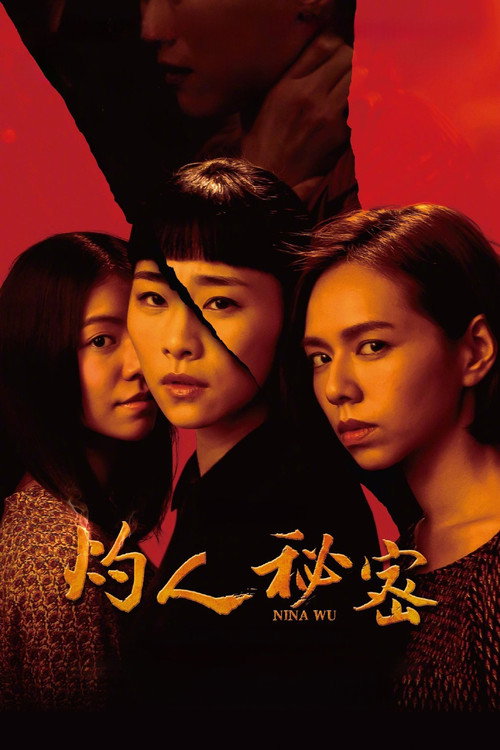 灼人秘密 海报