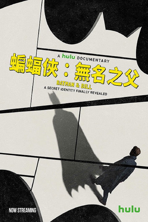 蝙蝠侠与比尔 海报