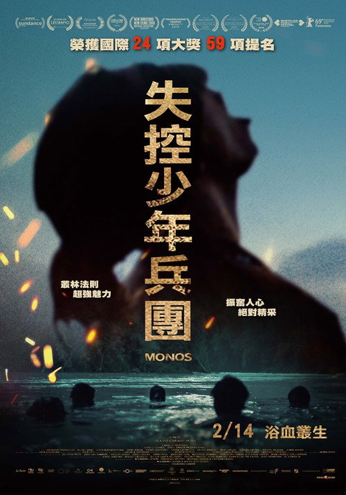 猴子 海报