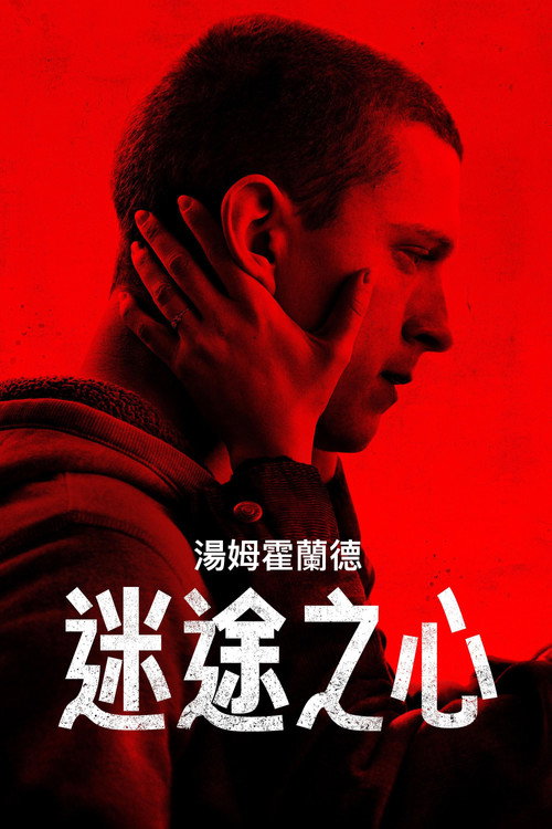 谢里 海报