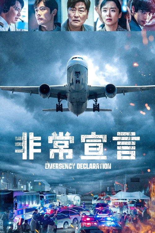 非常宣言 海报