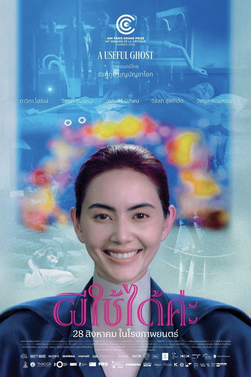 有用的鬼 海报