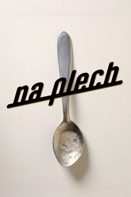 Na plech 海报