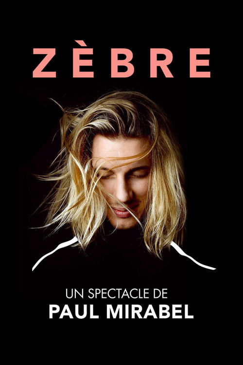 Paul Mirabel : Zèbre 海报