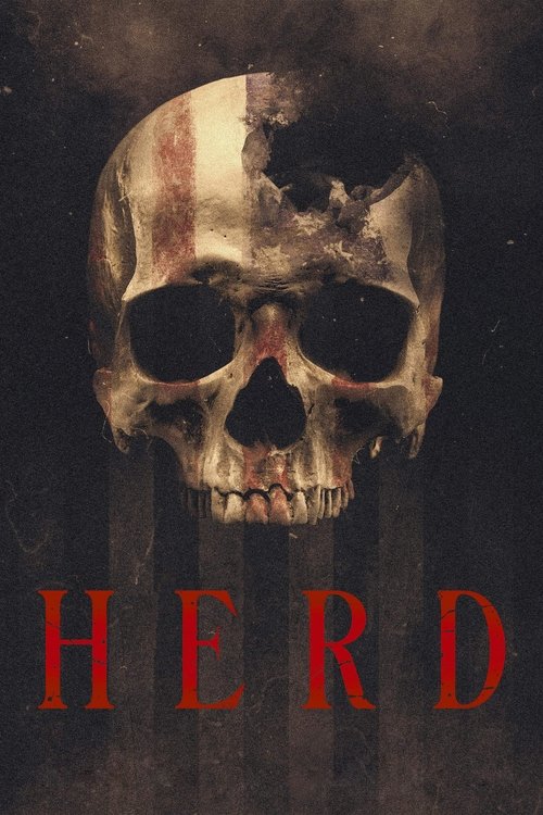 Herd 海报