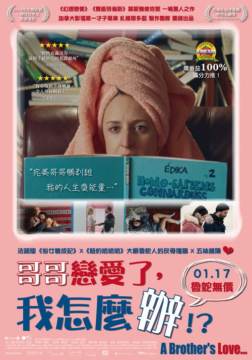 哥哥的爱人 海报
