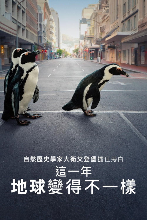 The Year Earth Changed 海报