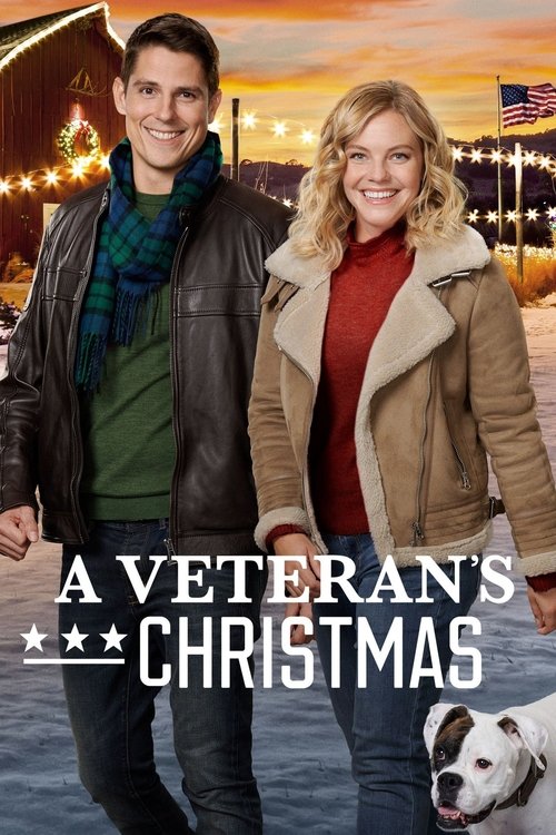 A Veteran's Christmas 海报