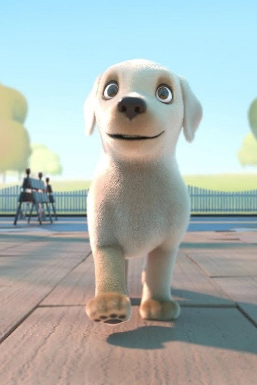 导盲犬小P 海报