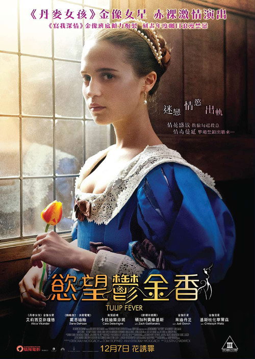 狂热郁金香 海报