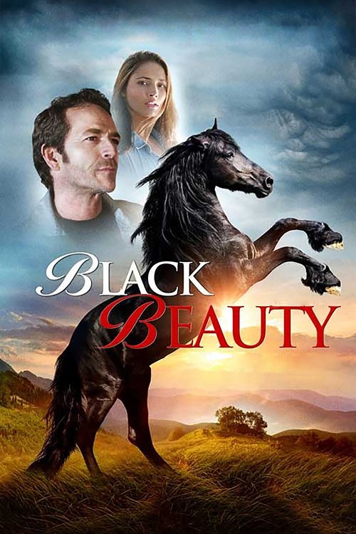 Black Beauty 海报