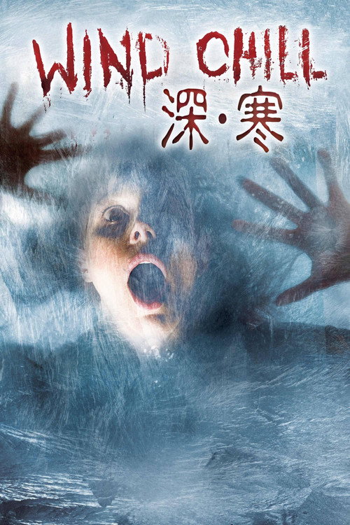 阴风鬼影 海报