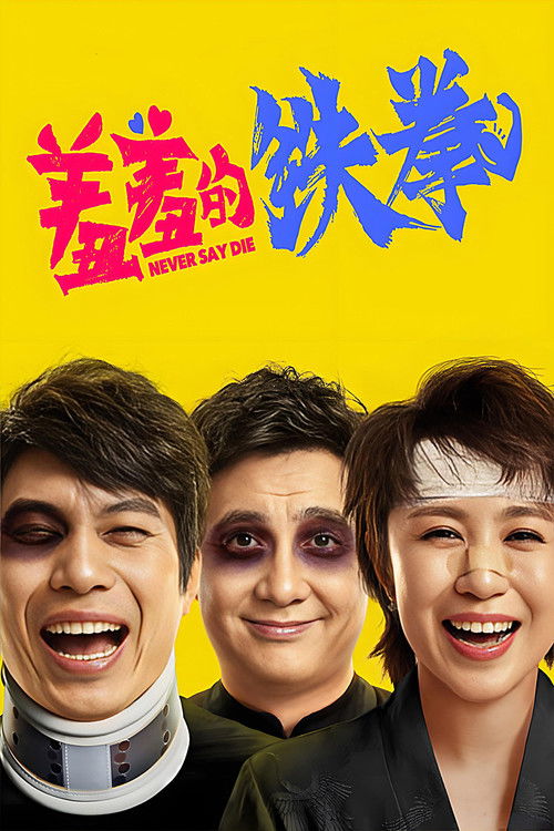 羞羞的铁拳 海报