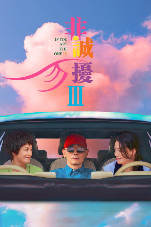 非诚勿扰3 海报