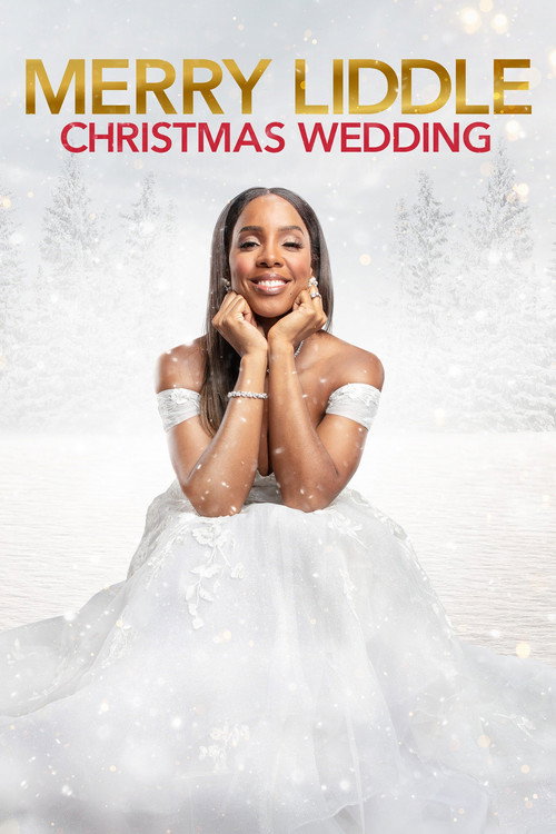 Merry Liddle Christmas Wedding 海报