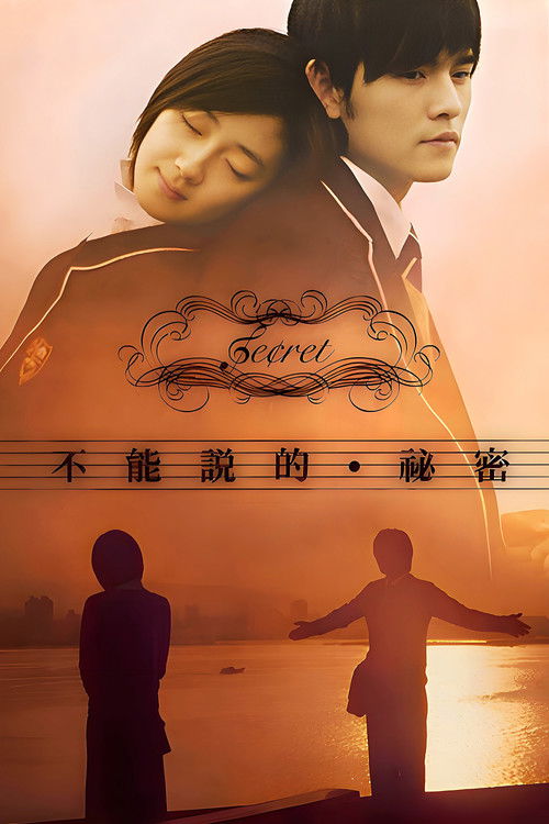 不能说的秘密 海报