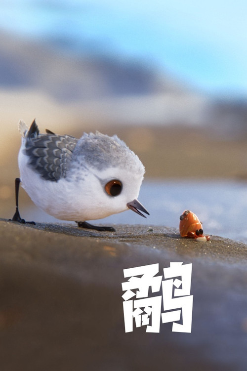 鹬 海报
