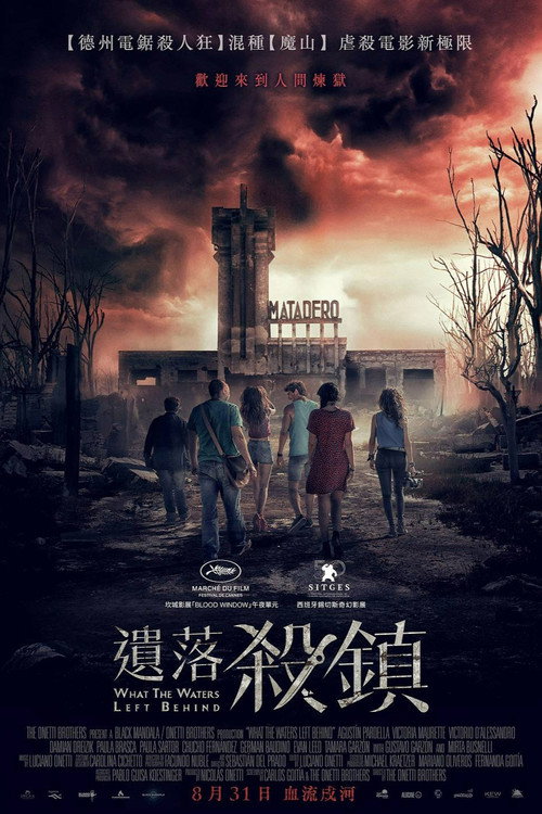 退水之后 海报