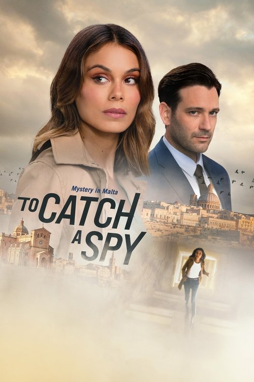 To Catch a Spy 海报
