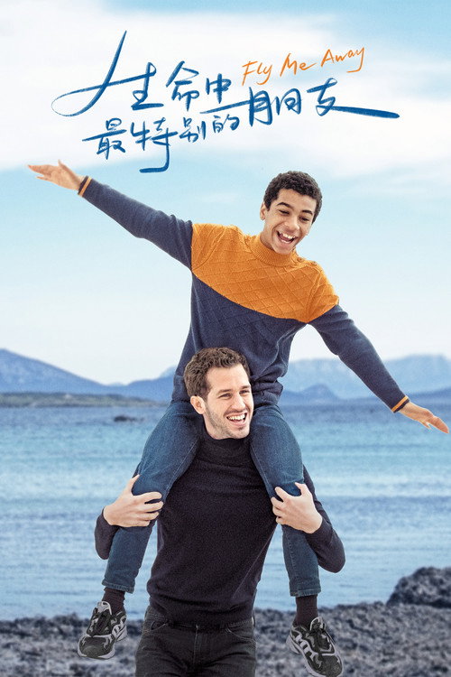 生命中最特别的朋友 海报
