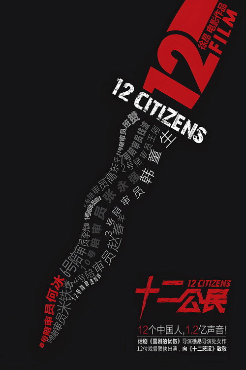 十二公民 海报