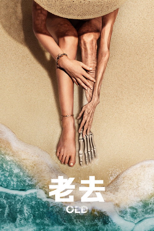 老去 海报