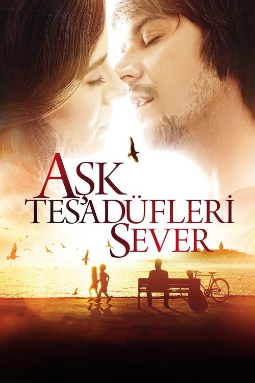 Aşk Tesadüfleri Sever 海报
