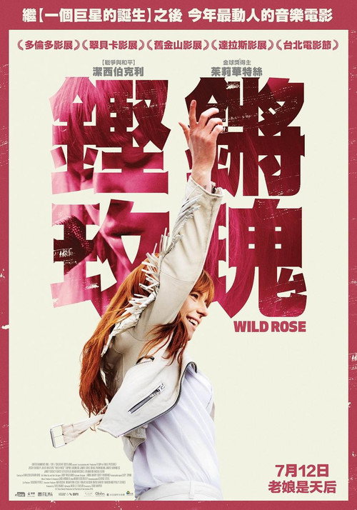 野玫瑰 海报