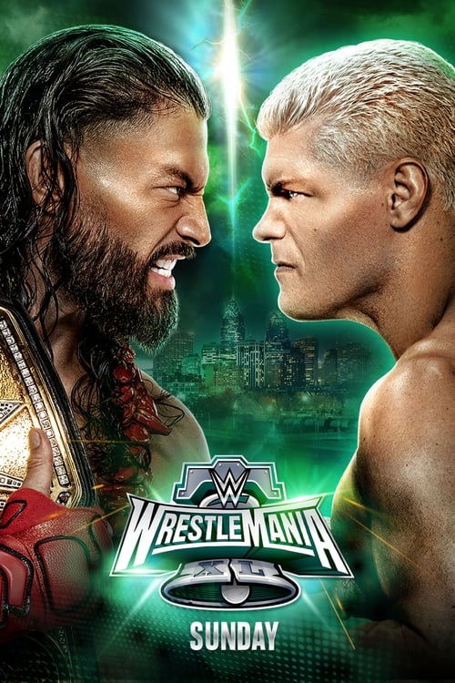 WWE 摔角狂热 40 第二赛日 海报
