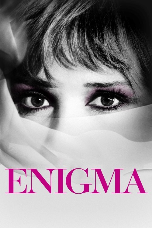Enigma 海报