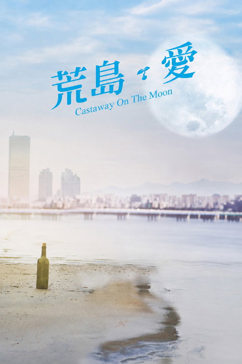 金氏漂流记 海报