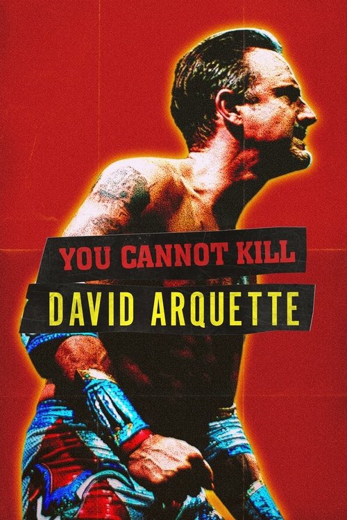You Cannot Kill David Arquette 海报