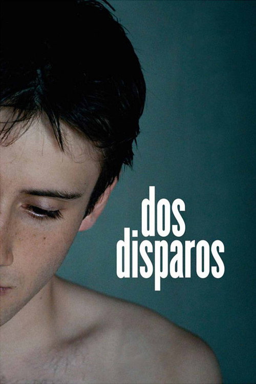 Dos disparos 海报