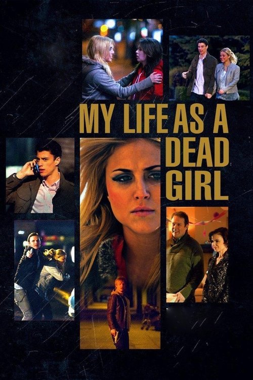 双重身份 海报