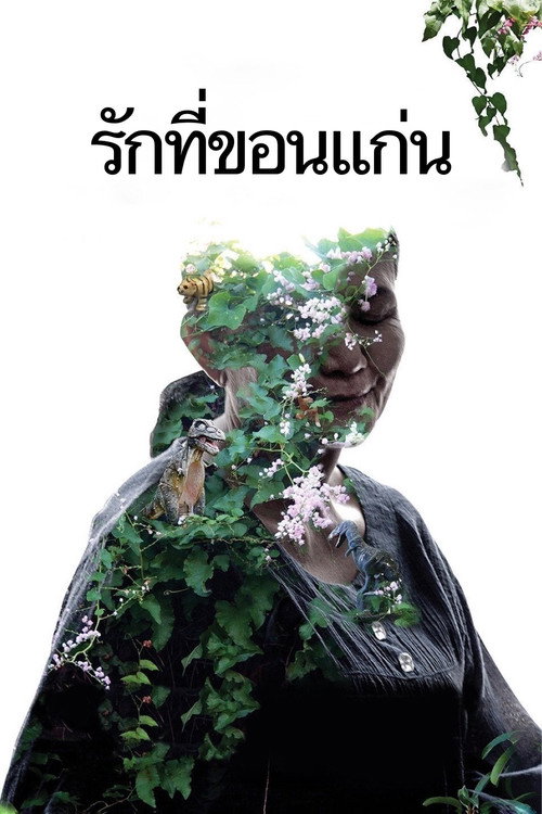 幻梦墓园 海报
