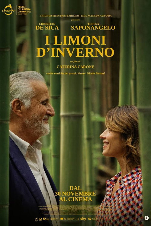 I limoni d'inverno 海报