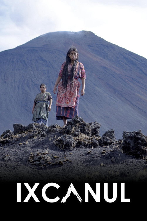 火山下的人生 海报