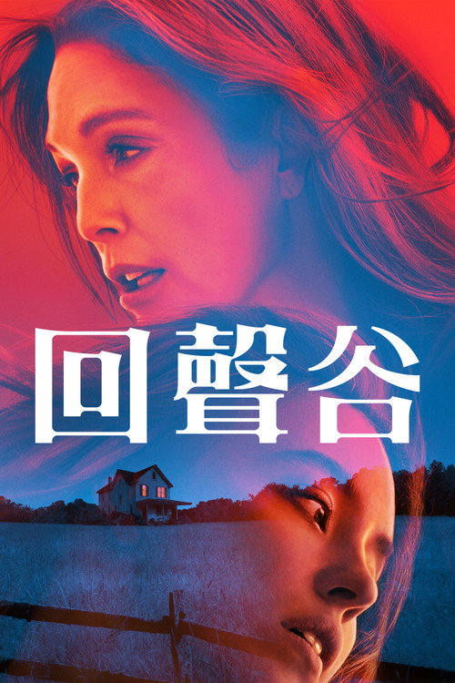 回声谷 海报