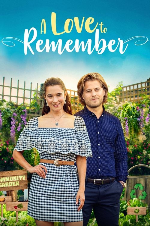 A Love to Remember 海报