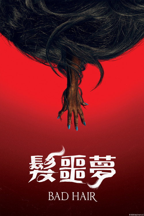 魔发 海报