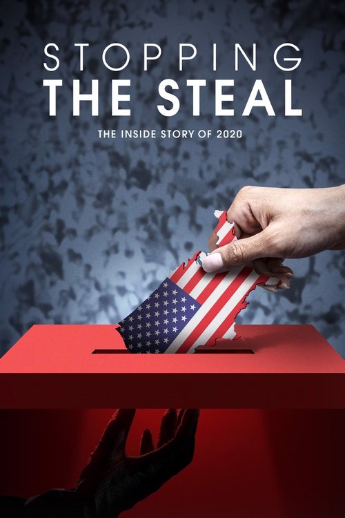 Stopping the Steal 海报