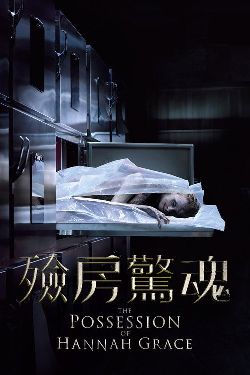 汉娜格蕾丝的着魔 海报