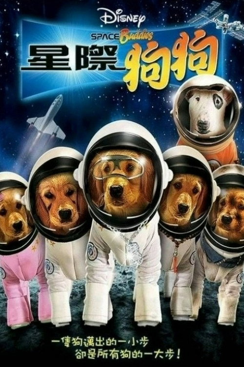 太空巴迪 海报