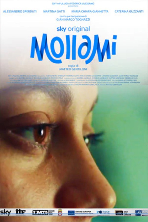 Mollami 海报