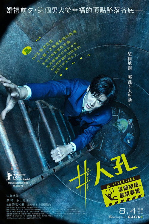 #窨井盖 海报