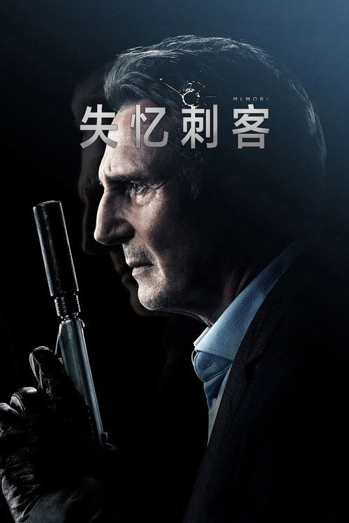 失忆刺客 海报